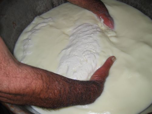 scuola di formaggio-31.JPG